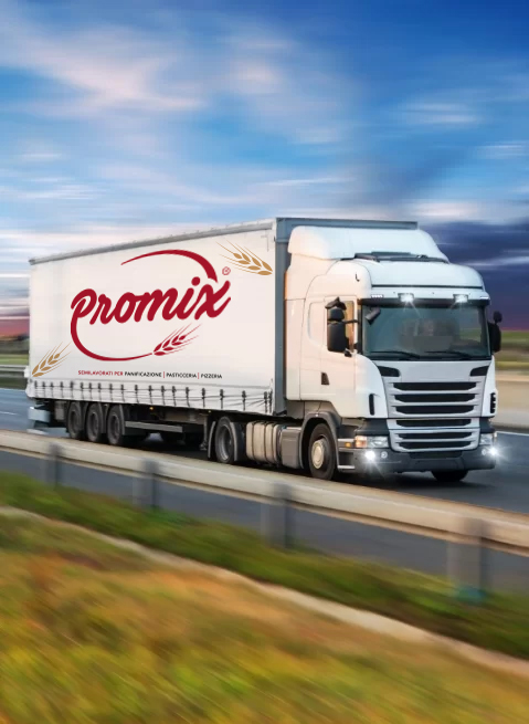 Logistica